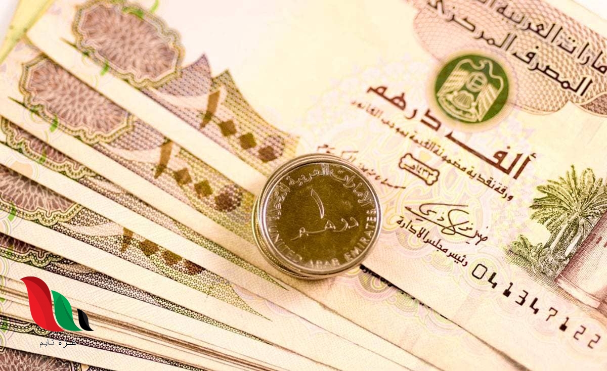 سعر الدرهم الاماراتي مقابل الجنيه المصرى